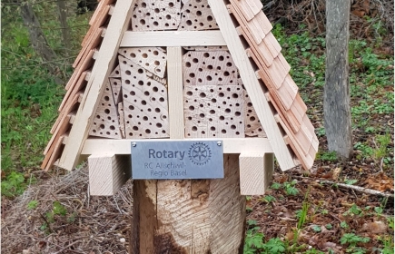 Unser Rotary Wildbienen Hotel