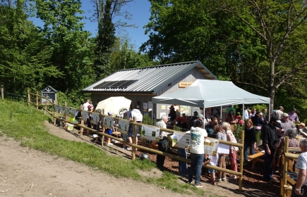 Inaugurazione dell'apiario didattico del RC Nyon lungo il sentiero del Boiron